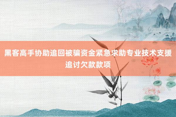 黑客高手协助追回被骗资金紧急求助专业技术支援追讨欠款款项