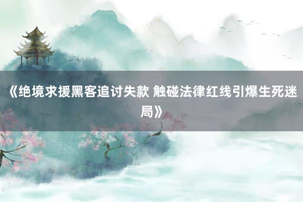 《绝境求援黑客追讨失款 触碰法律红线引爆生死迷局》