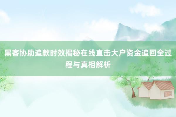 黑客协助追款时效揭秘在线直击大户资金追回全过程与真相解析