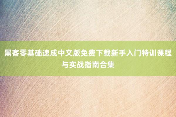 黑客零基础速成中文版免费下载新手入门特训课程与实战指南合集